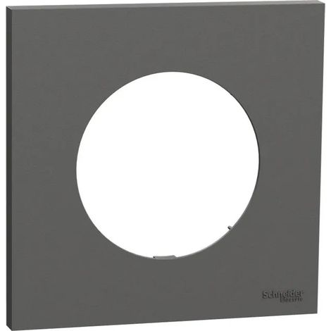 Placca interruttore Schneider Electric s904702 sistema automatico IP21D