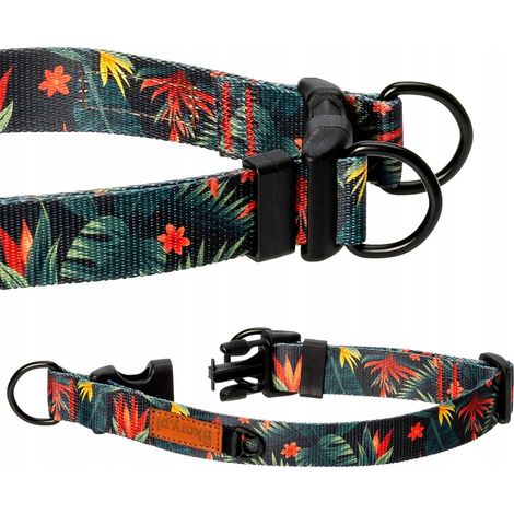 Collier à double verrouillage pour chiens de grandes races (taille géante L/XL, 30 mm) Ukory (1/5)
