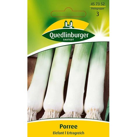 Quedlinburger Porree Elefant - Gemüsesamen (1/2)