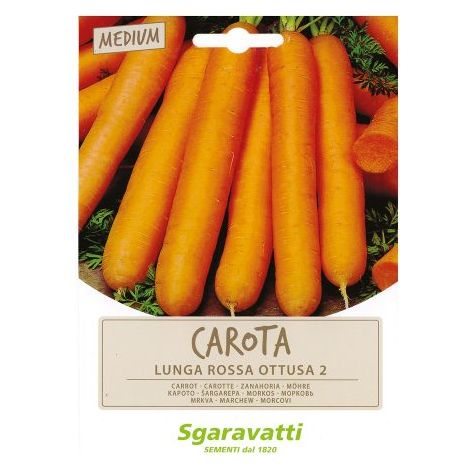 SEMI PER ORTAGGI E VEGETALI carota lunga ottusa