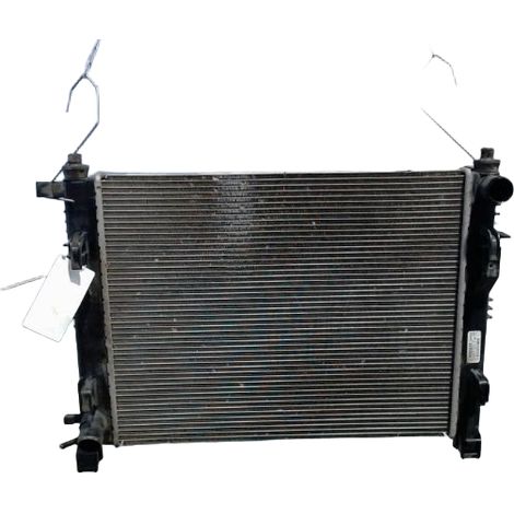 [PRODUIT D'OCCASION] Radiateur DACIA Lodgy ♻️ Ref Oe. 214100078r - Garantie à vie