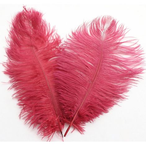 Plumes D Autruche - 32 cm - Décoration Mariage Centre De Table - Arrangement Floral DIY - 1 Pièce - Rouge Vin (1/5)