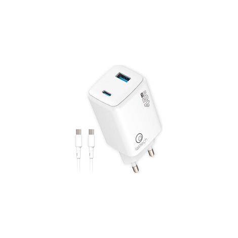 CARICATORE GAN 45W BIA.USB-C/USB-A CAVO USB-C/USB-C- LOSTECH- 1,0 pz