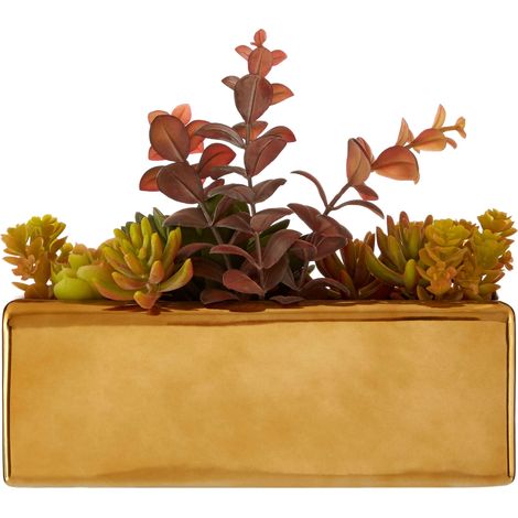 Premier Housewares Mixed Succulents Fiori with Ceramic Gold Pot (1/4)