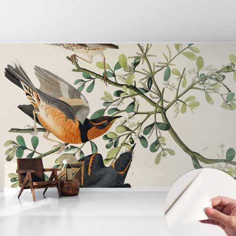 Selbstklebend Tapete - abwaschbar - Raumgestaltung Schlafzimmer Wohnzimmer Tapete Bunte Vögel 416x254 cm (1/5)