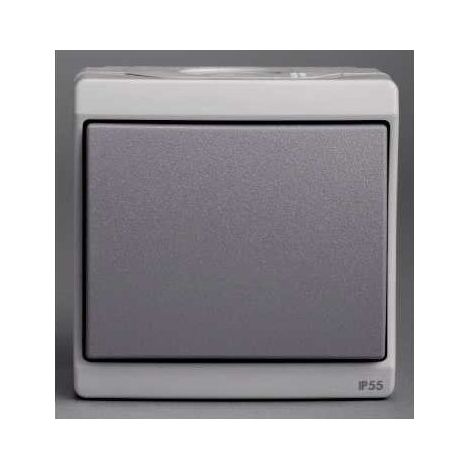 Schneider ENN35023 Gray Surface-Mounted Switch - IK07 IP55
