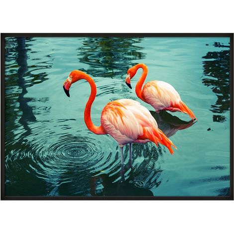 Bild Poster im Rahmen 43x33 cm Flamingo P666 (1/3)