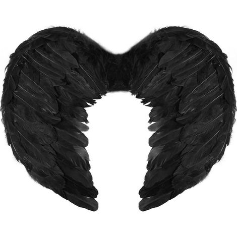 AILES Ange Déchu Corbeau NOIR 45x35cm (1/2)