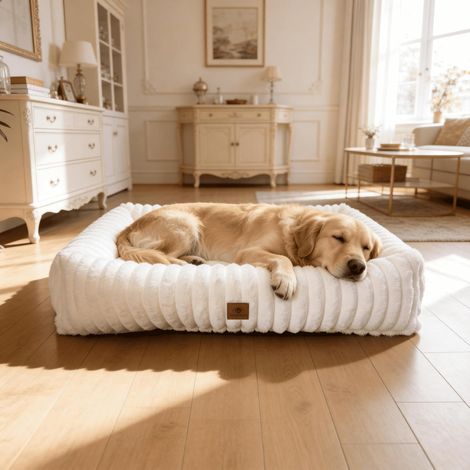 XL Soft Dog Basket with Removable Washable Cover Cream (1/5)