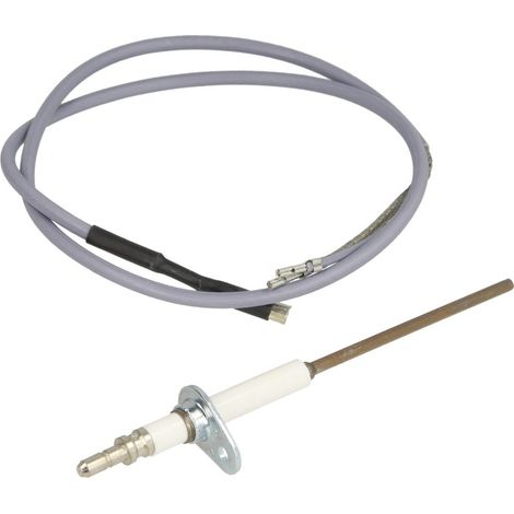 Electrode d'ionisation et câble