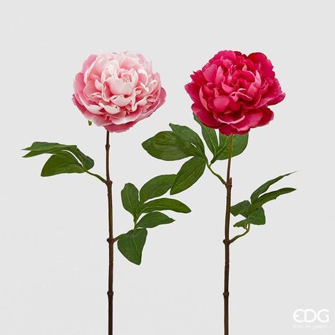 EDG Enzo De Gasperi Peonia Olis Ramo H 65 Cm Fucsia o Rosa 1Pz (1/4)