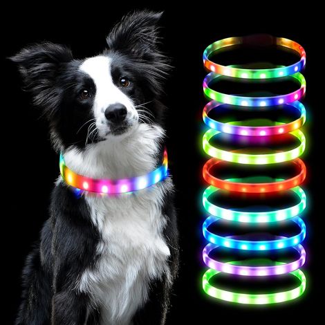 Collier Lumineux LED pour Animaux Rechargeable USB  Découpable Imperméable Réglable pour Petits, Moyens et Grands Chiens et Chats (Multicolore) (1/5)