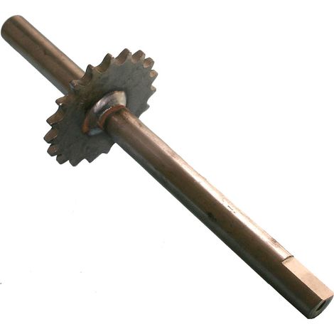 ALBERINO E PIGNONE 456042 MTD -456042