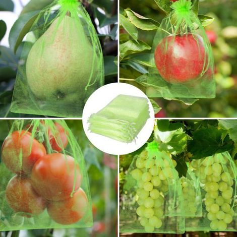 Lot de 100 sachets protection fruits/raisin 20x30cm, verts, respirants, cordon, anti-insectes/oiseaux. Corvina (1/5)