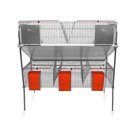CAGE PER MODELLO ECONOMICO-10 conigli con sala per bevute di tipo chupete. 3 Dipartimenti di maternitМК e 2 ingrasso.
