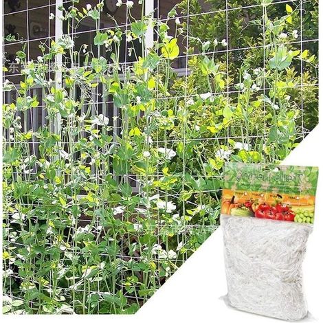 (1,67m x 5 m)Filet pour Plantes Grimpantes, Grande Maille Filet Tuteur, Grimpante en Polyethylene Filet de Treillis, Blanc (1/4)
