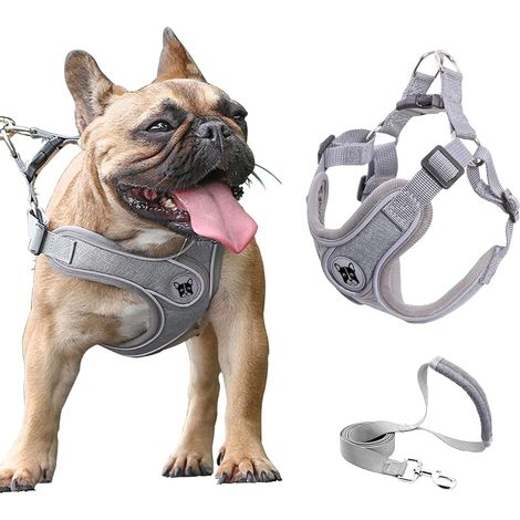 Ensemble harnais et laisse pour chien de taille moyenne, gilet en maille souple, réglable sans tension, avec poignées rembourrées (1/5)