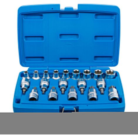 BGS Bit-Einsatz-/Steckschlüssel-Einsatz-Satz Antrieb Innenvierkant 12,5 mm E-Profil / T-Profil (für TX) 19-tlg.