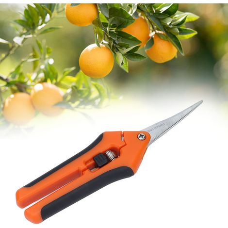 Sécateur à poignée ergonomique, pour fleurs, arbustes, bonsaïs et arbres fruitiers, taille précise pour l'entretien de la maison, couleur orange.-AquaForge (1/5)