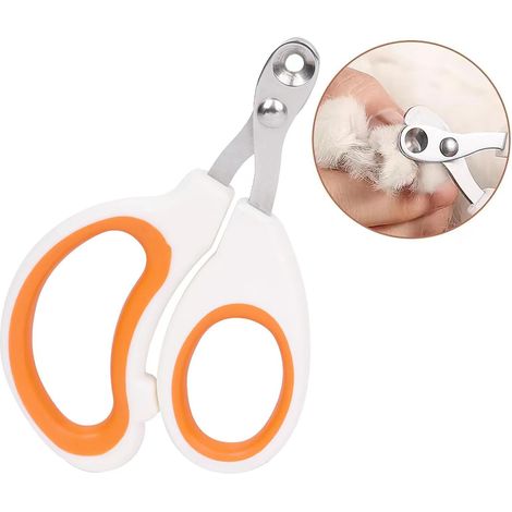 Coupe-ongles professionnel pour chats, pour les pattes, pour un entretien soigné des griffes en milieu domestique.-AquaForge (1/5)