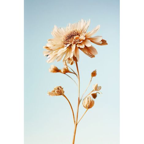 Tableau sur toile fleur 30x45 cm - Impression sur Toile Murale Décorative - Image imprimée en HD sur Toile - Toile sur Châssis en Bois FSC - Fabriqué en France
