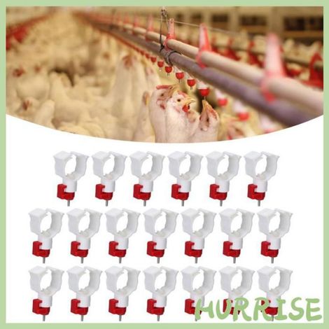 Garosa Mamelon abreuvoir de poulet 20pcs Mamelons D'abreuvoir de Poulet Valve en Acier Inoxydable pour Volaille animalerie soin (1/4)