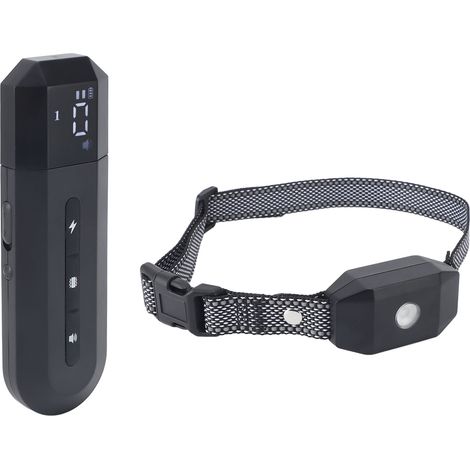 Collier de dressage pour chien avec récepteur étanche et rechargeable, dispositif anti-bruit noir (1/5)