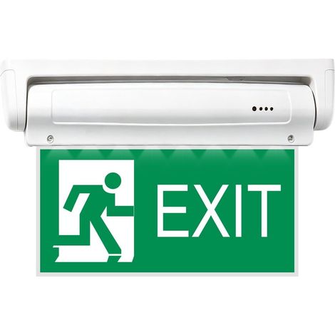 Éclairage De Secours LED À Lumière Continue, Lampe De Secours Avec Batterie De Secours Jusqu'À 3h, IP30 Panneau De Sortie De Secours Avec 7 Pictogrammes De Sortie De Secours Pour Montage Mural (1/5)