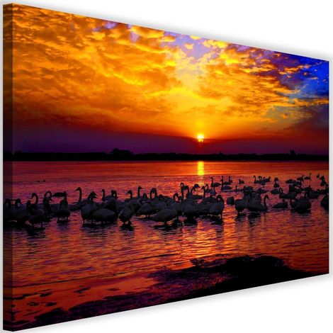 Tableau sur toile cygnes coucher de soleil 60x40 (1/5)