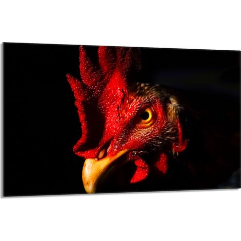 Glasschutzplatte für den Herd 80x52 Hahn (1/5)