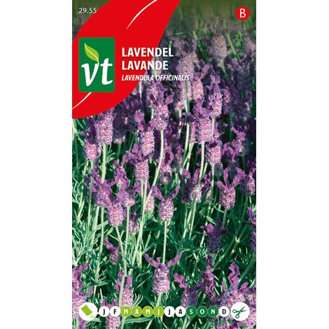Lavande - Ca. 0,75 gr (Livraison Gratuite) (1/2)