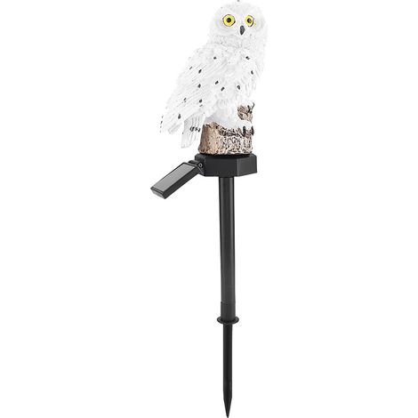 Lampe de jardin solaire étanche blanche pour l'éclairage extérieur de la maison et du jardin. (1/5)