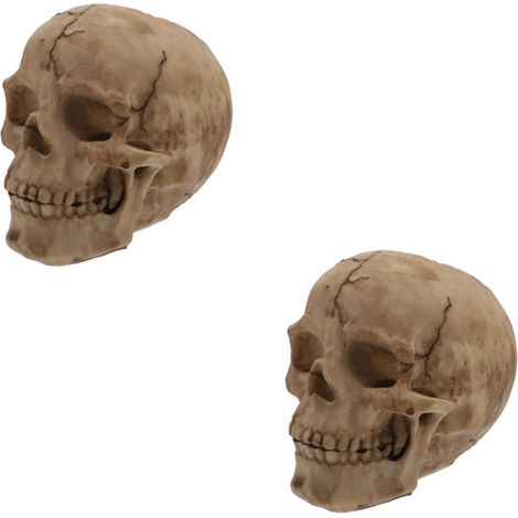 Lot De 2 Vases en Forme De Tête De Mort Fleurs Artificielles Décoration D'Intérieur Style Gothique Tête De Mort Fausses Fleurs pour Femme Fantôme Halloween Squelette (1/5)