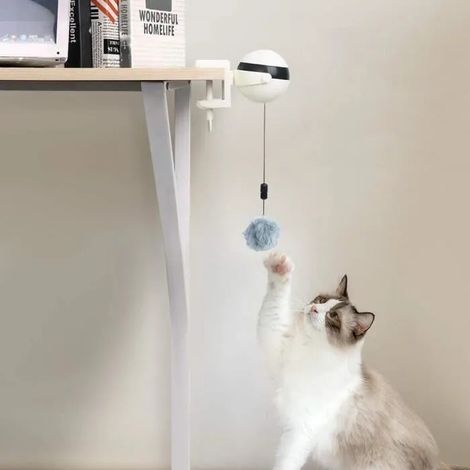 Jouet pour chat, boule de levage automatique, jouet électronique interactif - Teaser pour chat avec clip réglable (1/4)