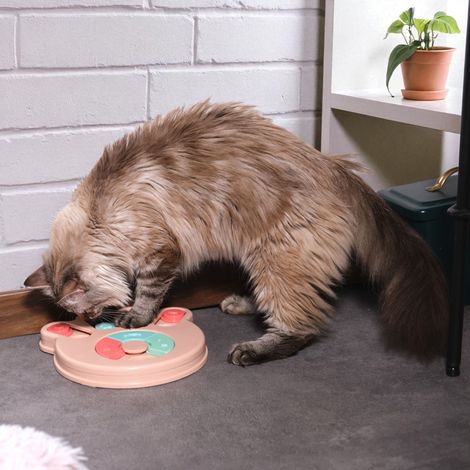 Jeu De Fouille - The Concept Factory - Animaux - Rose Et Bleu