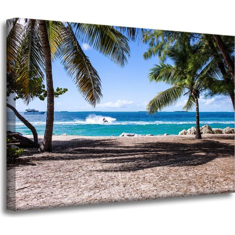 Leinwanddruck Natur, Meer und Palmen, 70 x 50 cm