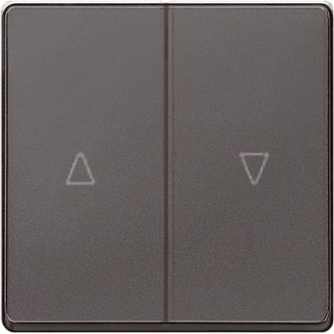 Carbon-Doppelblindknopf Siemens Delta MIRO 5TG62765CM00