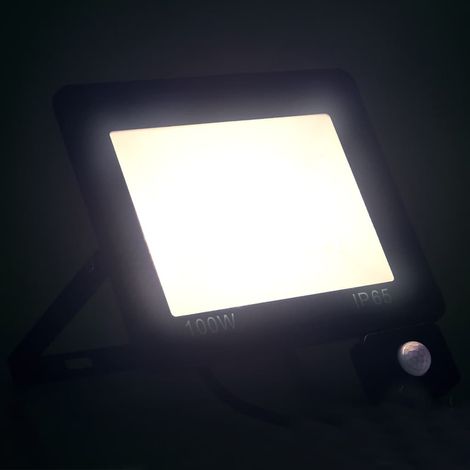 Projecteur à LED avec capteur 100 W Blanc froid (1/5)