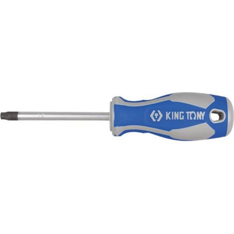 Tournevis Torx T20 - Lame SNCM+V - 100 mm - Poignée Bi-Matière PP+TPR - Finition Chromée
