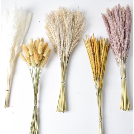 Bouquet de 120 brins d'herbe de la pampa séchée de 42,5 cm, idéal pour la décoration intérieure, les mariages et le style bohème. (1/5)