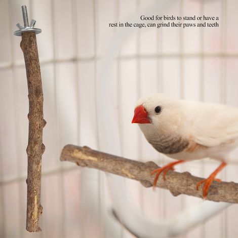 Support en bois naturel pour perroquet, perchoir à mâcher pour les pattes, jouet à suspendre pour cage (1,52,525cm) (1/5)