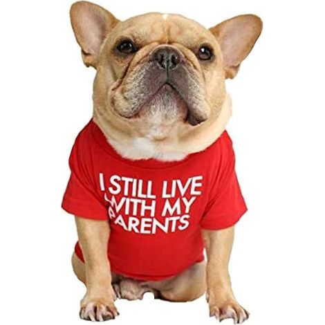 Dog T-Shirt with the phrase: I still live with my parents (Red, L) (1/5)