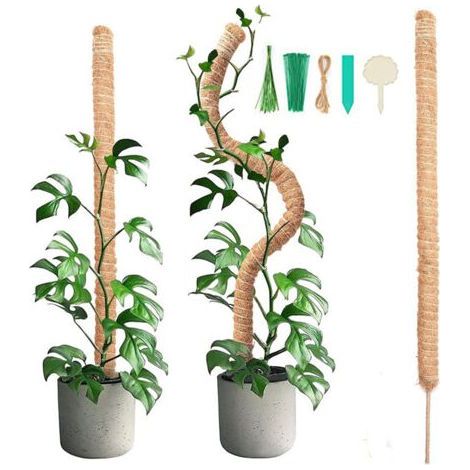 2 pièces 90CM bâton de mousse pliable avec 2 pièces de 2M de long corde de chanvre, bâton de noix de coco pour plantes, aides à l'escalade pour plantes grimpantes, support de plantes de jardin (1/5)