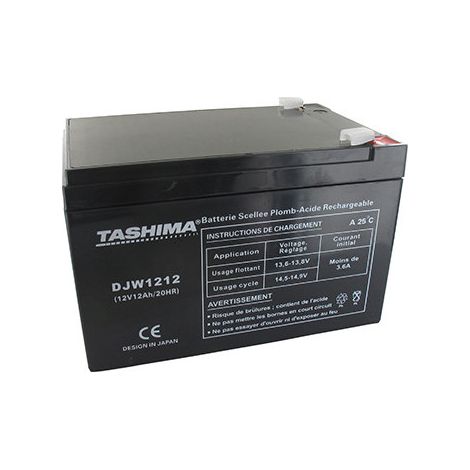 Batteria Tashima 12V, 12A Compatibile con Al-ko. L: 150, L: 95, H: 93mm, + a Sinistra 100% impermeabile. - Batteria da Riempire di Acido Ava