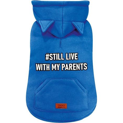 30 cm: Felpa modello Still blu con cappuccio per cani