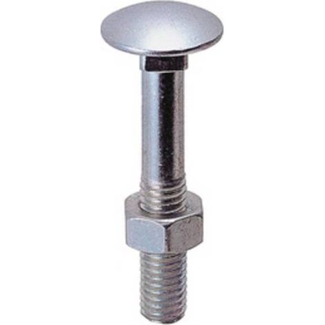 SC BULLONE C/DADO TTDQ 10X 70MM ZINCATO  6 PZ