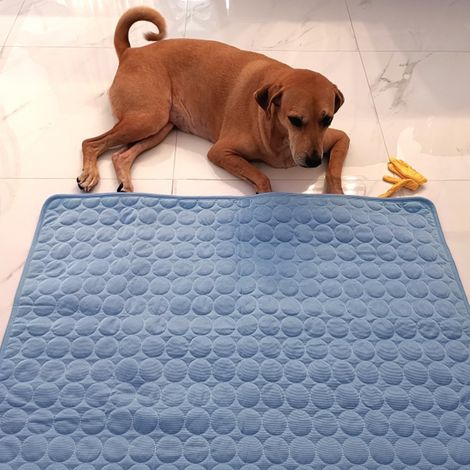 Kühlmatte für Hunde, Katzen und Welpen, ungiftig, zur Linderung der Sommerhitze. (1/5)