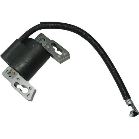 Bobine d'allumage Briggs & Stratton 797040 compatible moteurs tracteurs tondeuses (1/2)