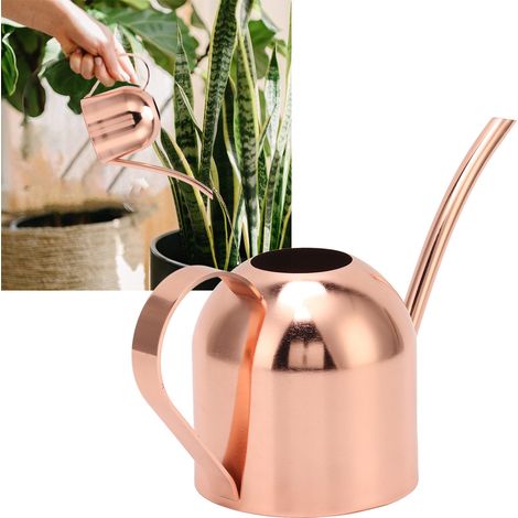 Arrosoir Bonsai Jardin Fleurs Intérieur Extérieur Long Bec Pot Stainless Steel Rose Gold 21.5x9x12.5cm (1/5)
