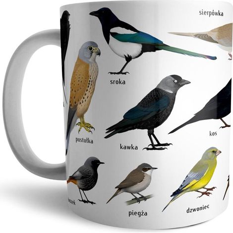 Tazza - Uccelli in città (urbani) Solitaria